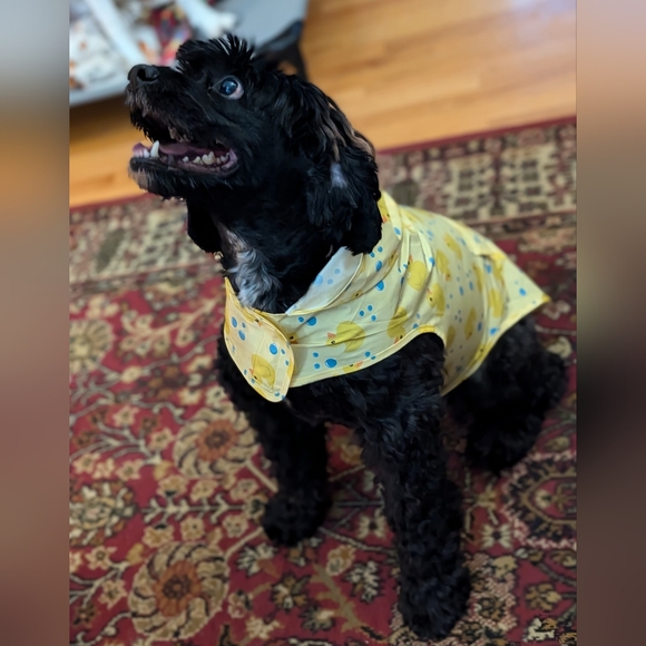 Live Show Notification!!!! - Picture 2 of 8